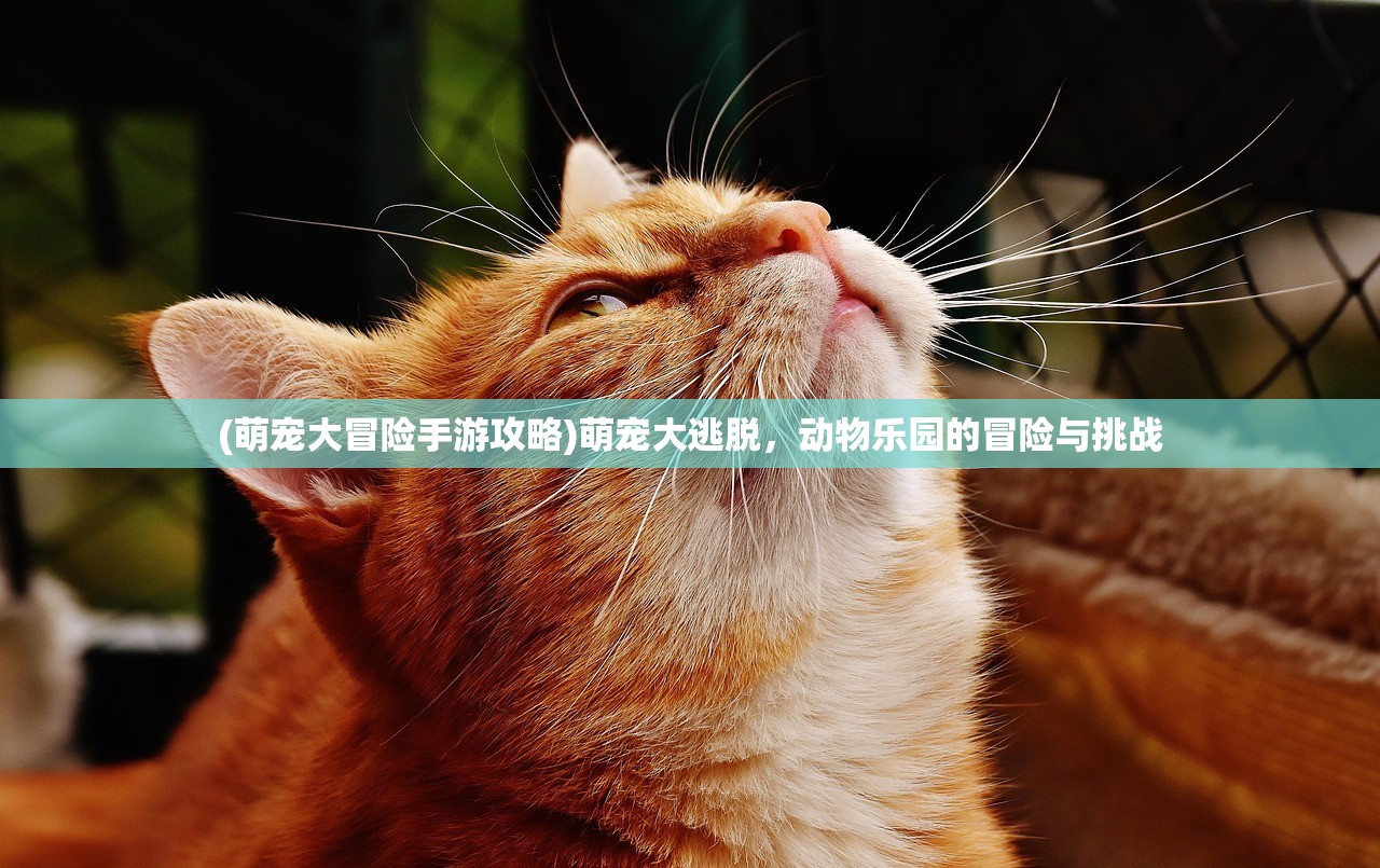 (陌陌心动劲舞团官方下载)陌陌心动劲舞团官方，引领社交舞蹈新风尚