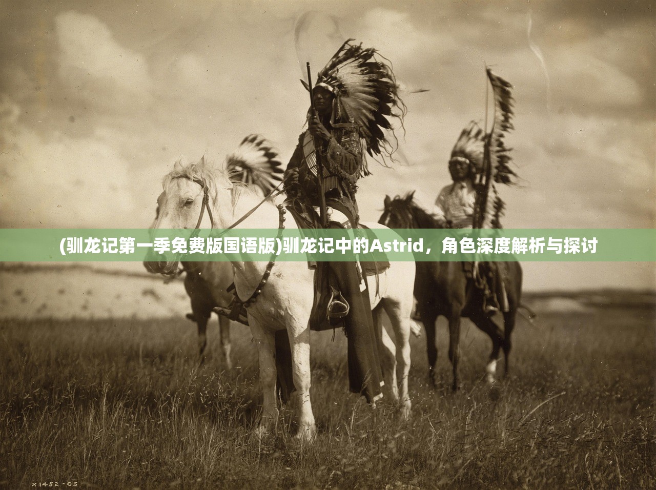 (驯龙记第一季免费版国语版)驯龙记中的Astrid，角色深度解析与探讨