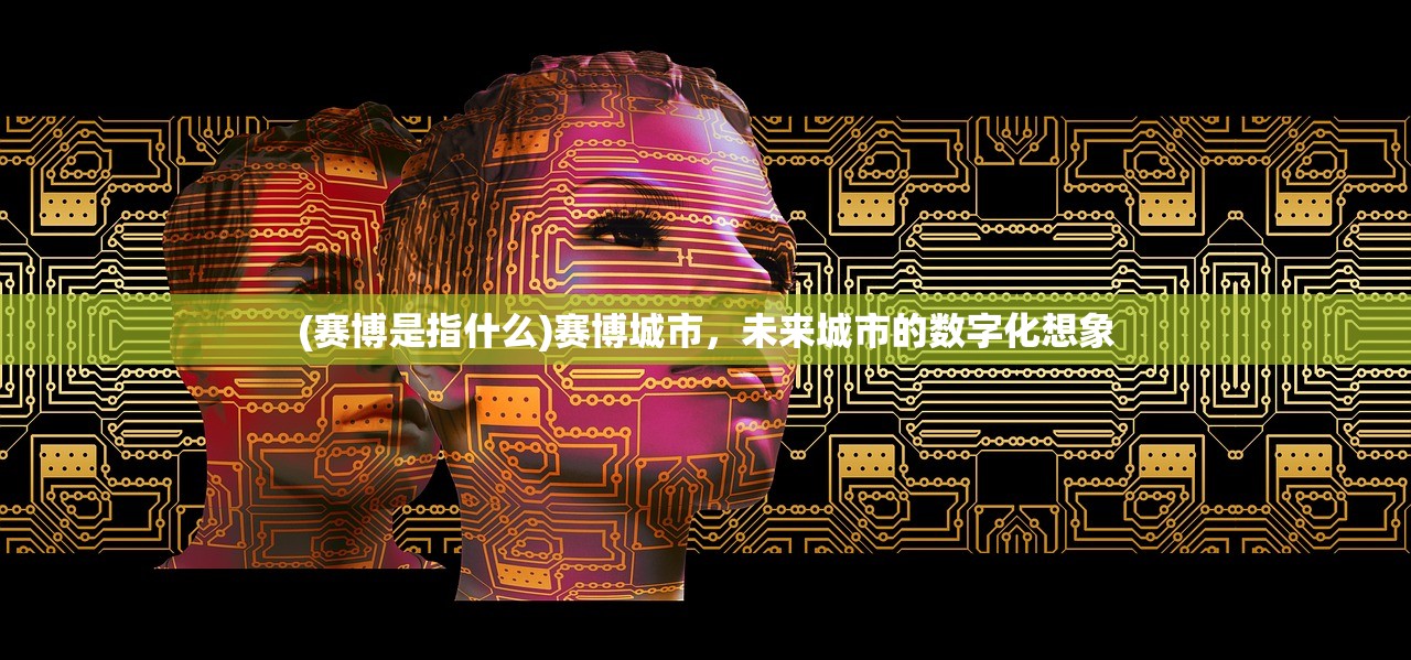 (赛博是指什么)赛博城市，未来城市的数字化想象