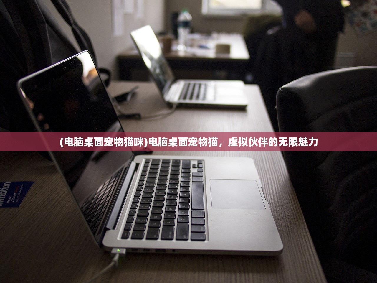 (生化奇兵流程攻略)生化奇兵攻略心得分享与常见问题解答
