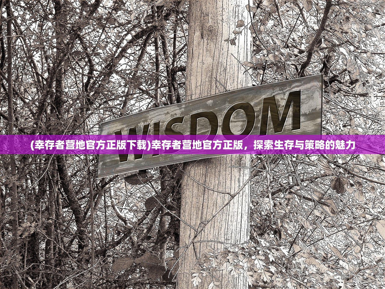 (幸存者营地官方正版下载)幸存者营地官方正版，探索生存与策略的魅力