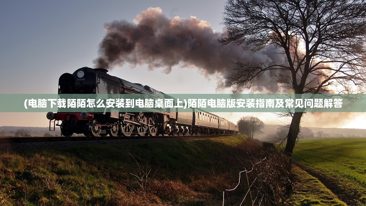 (电脑下载陌陌怎么安装到电脑桌面上)陌陌电脑版安装指南及常见问题解答