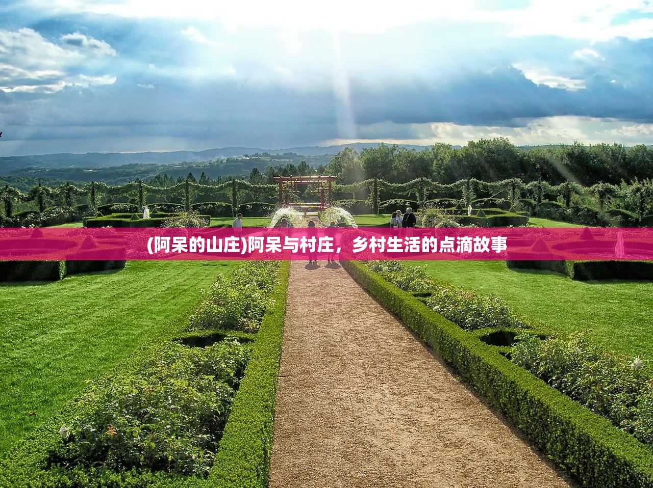 符剑如律令龙魂技能加点推荐——深度分析与策略指南