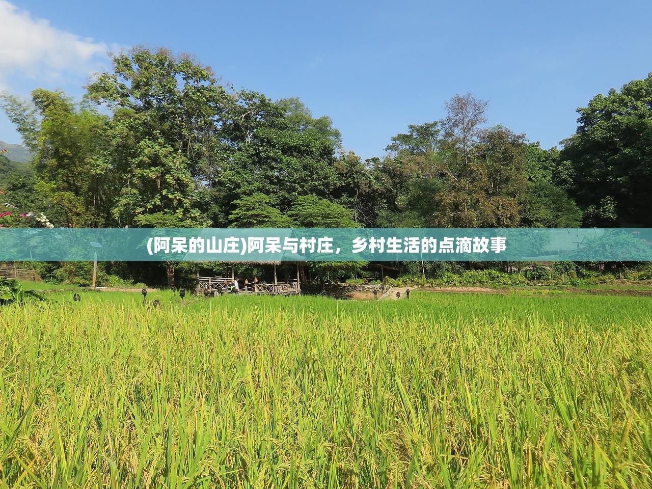 (阿呆的山庄)阿呆与村庄，乡村生活的点滴故事
