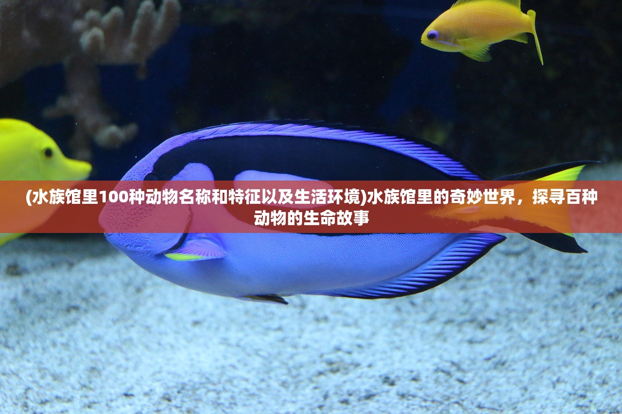 (水族馆里100种动物名称和特征以及生活环境)水族馆里的奇妙世界，探寻百种动物的生命故事