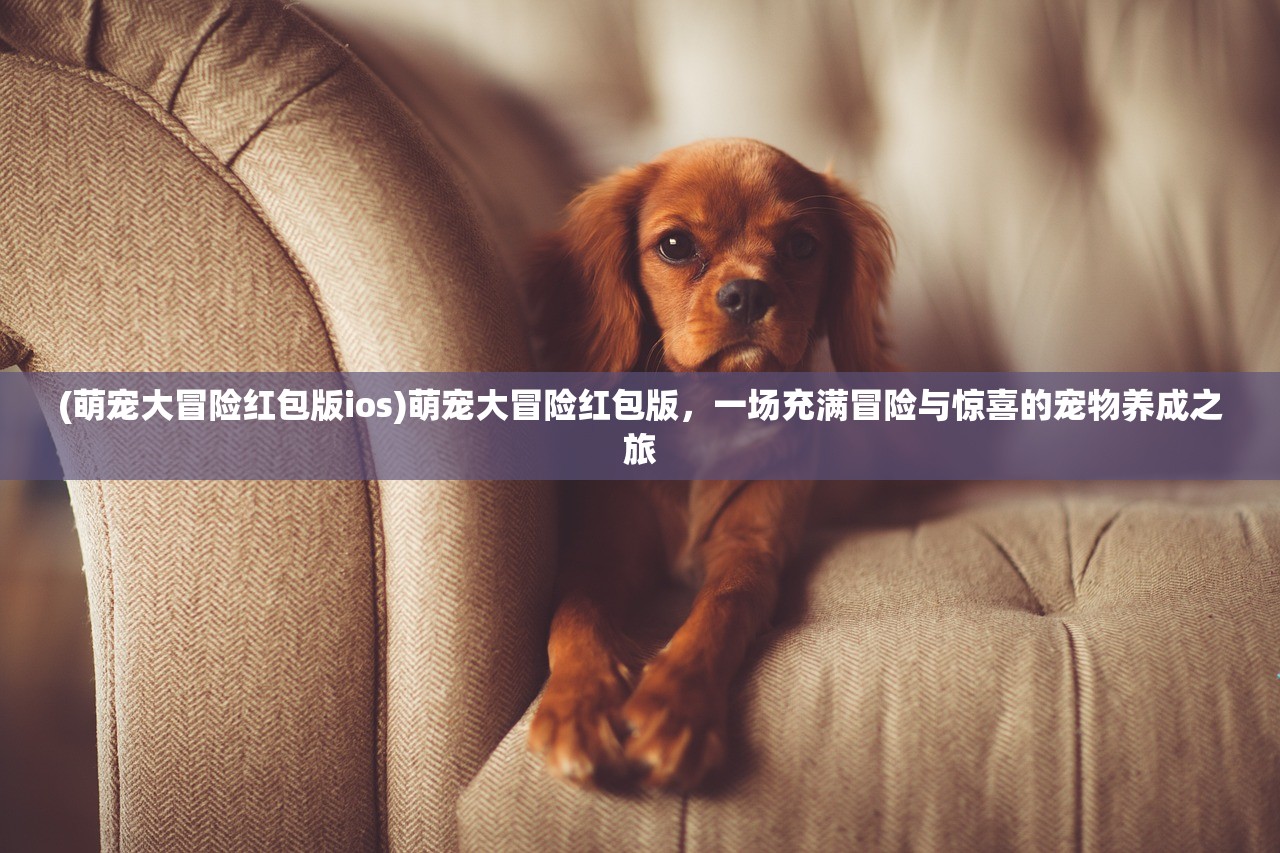(萌宠大冒险红包版ios)萌宠大冒险红包版，一场充满冒险与惊喜的宠物养成之旅