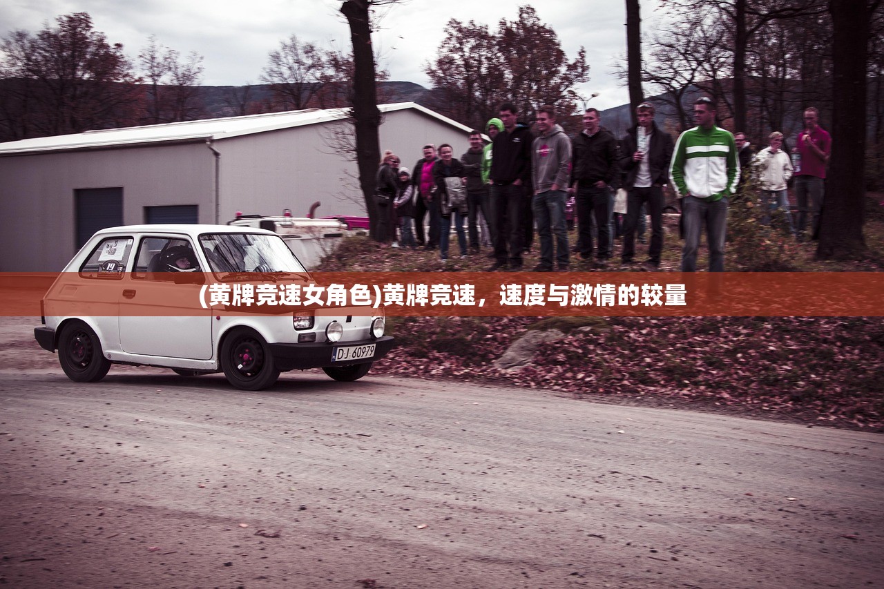 (黄牌竞速女角色)黄牌竞速，速度与激情的较量