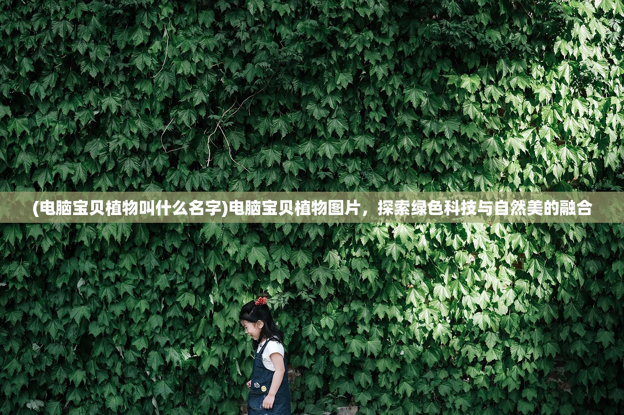 (阿玛迪斯战记攻略秘籍)阿玛迪斯战记攻略豆丁网全解析及常见问题解答