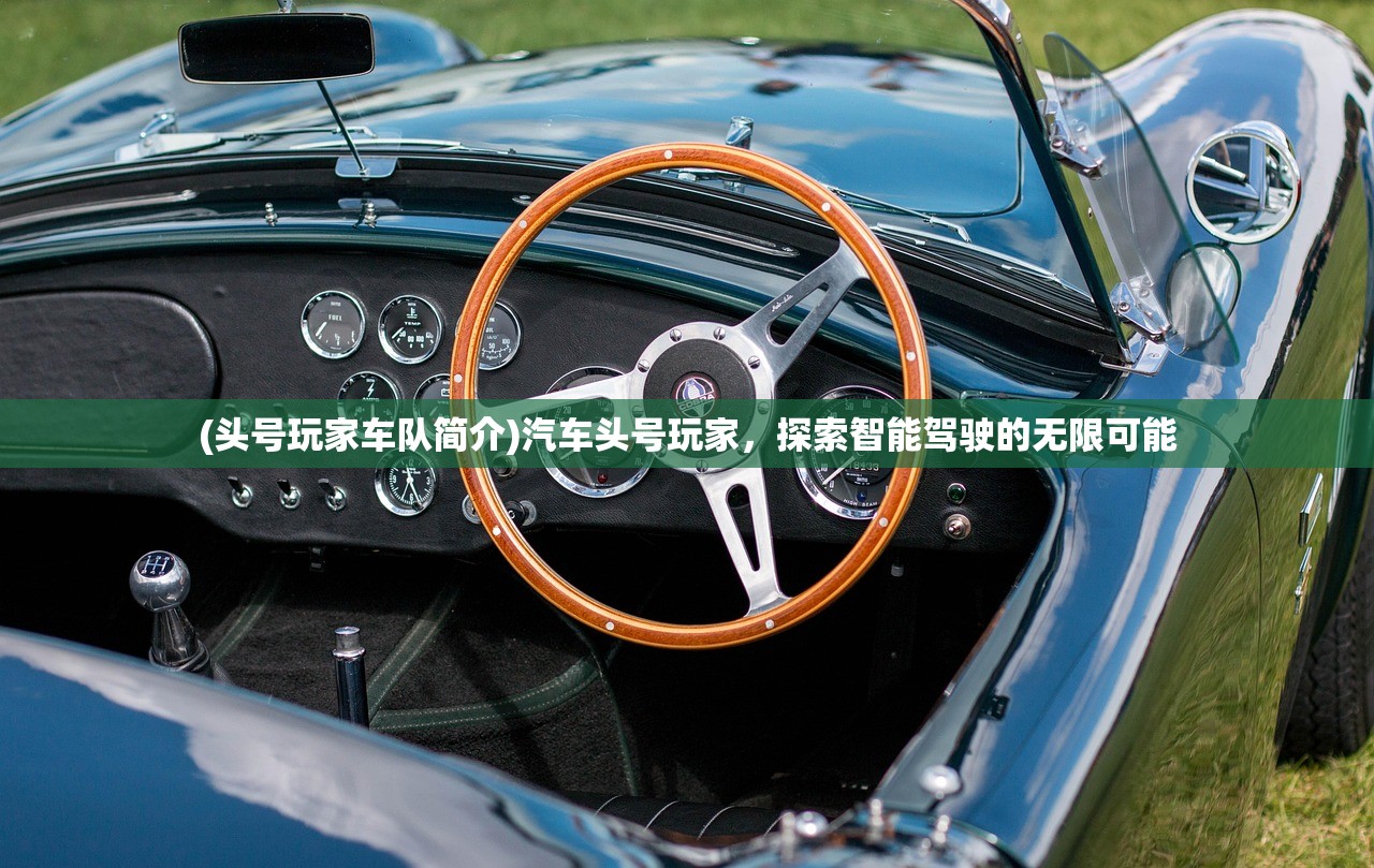 (头号玩家车队简介)汽车头号玩家，探索智能驾驶的无限可能