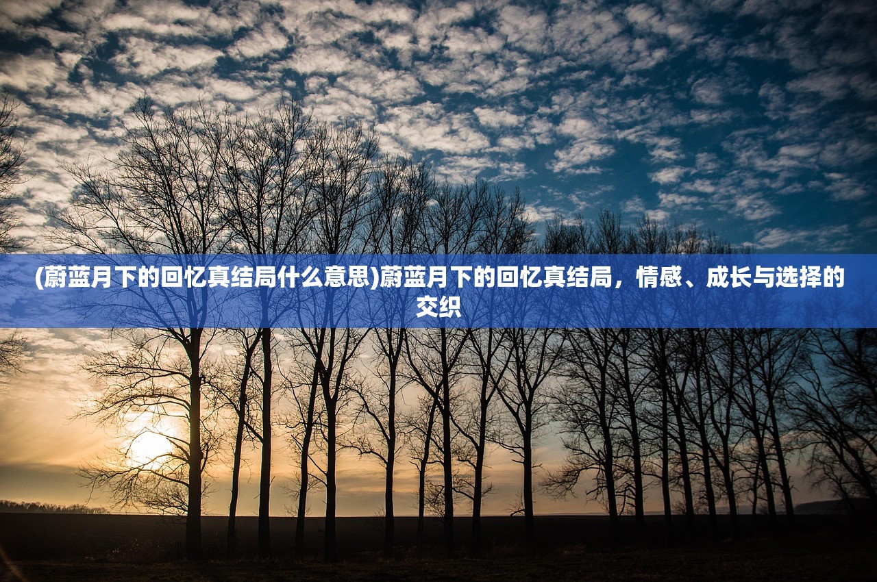 (蔚蓝月下的回忆真结局什么意思)蔚蓝月下的回忆真结局，情感、成长与选择的交织