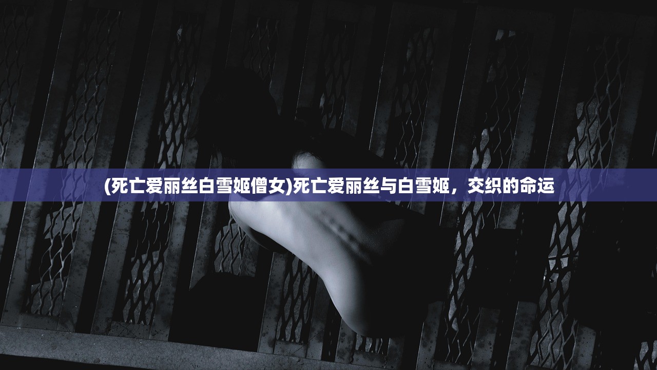 (死亡爱丽丝白雪姬僧女)死亡爱丽丝与白雪姬，交织的命运