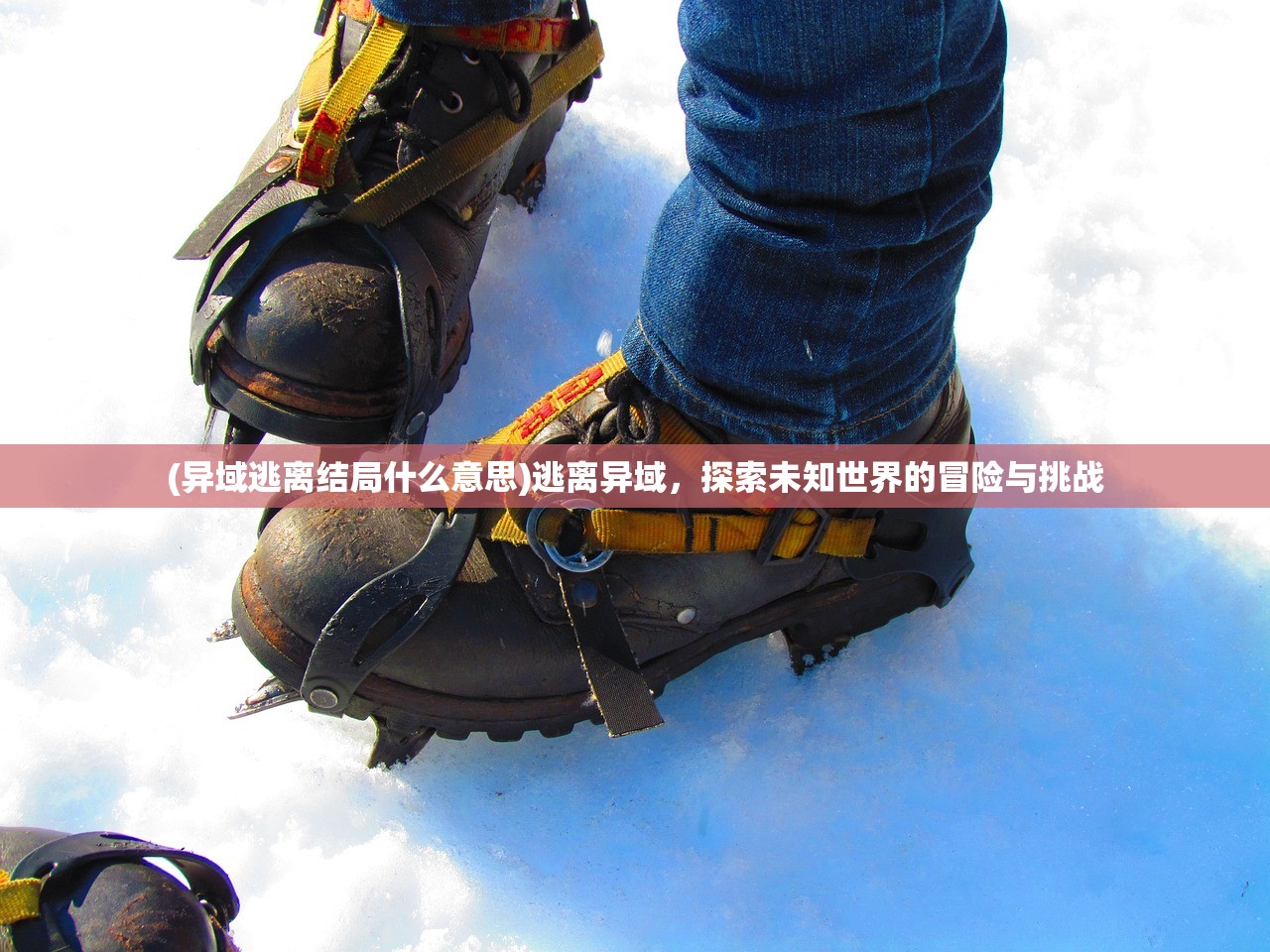 (异域逃离结局什么意思)逃离异域，探索未知世界的冒险与挑战