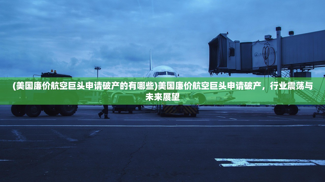 (美国廉价航空巨头申请破产的有哪些)美国廉价航空巨头申请破产，行业震荡与未来展望