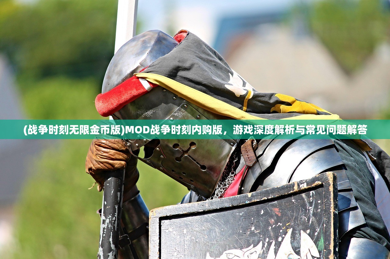 (战争时刻无限金币版)MOD战争时刻内购版，游戏深度解析与常见问题解答
