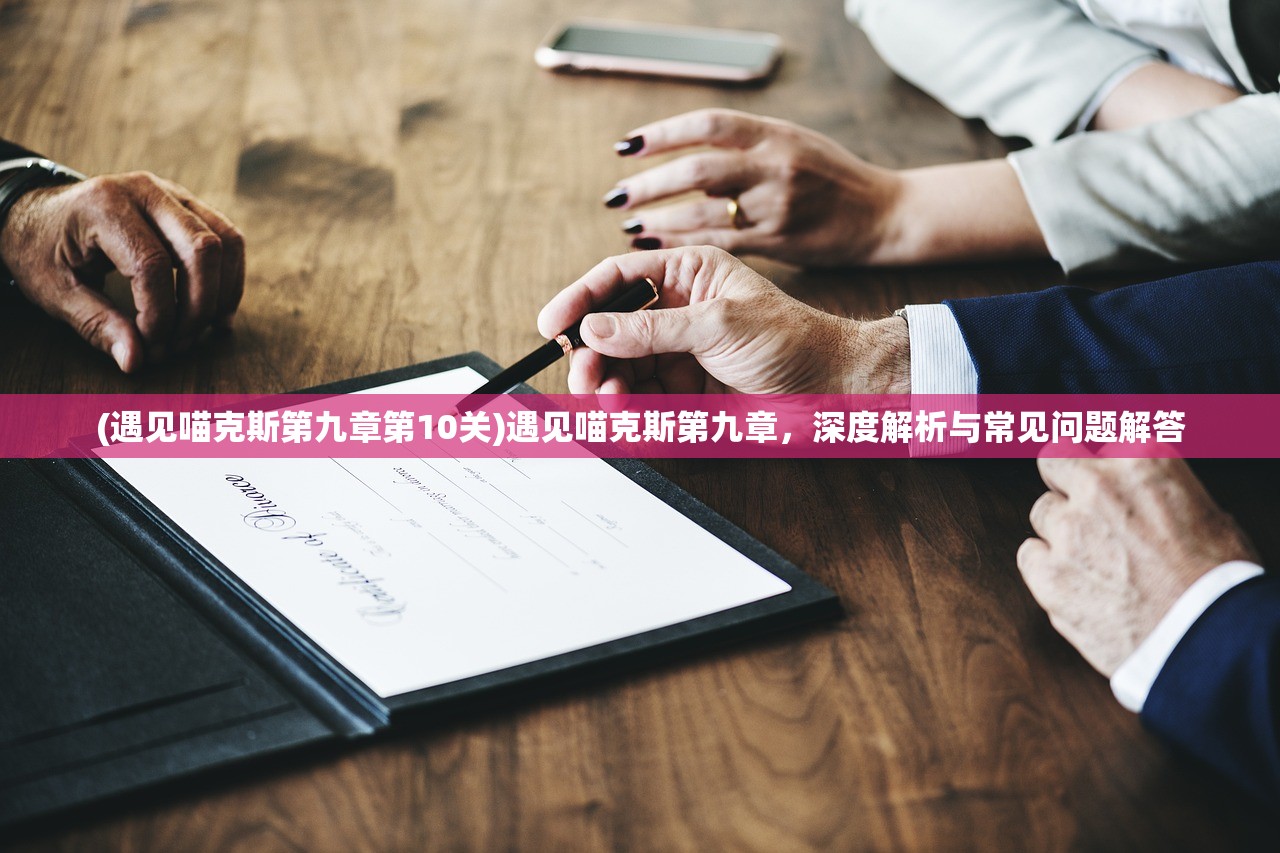 (遇见喵克斯第九章第10关)遇见喵克斯第九章，深度解析与常见问题解答
