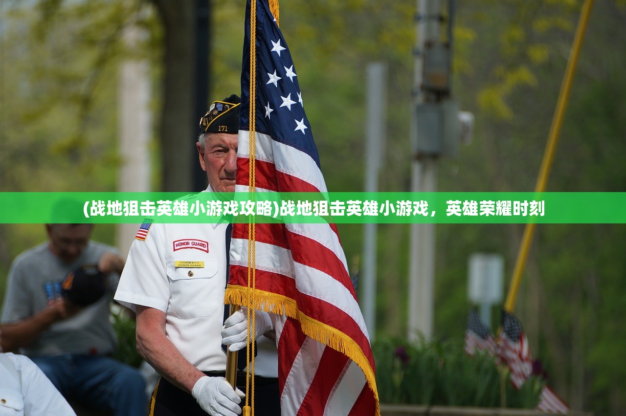 (战地狙击英雄小游戏攻略)战地狙击英雄小游戏，英雄荣耀时刻
