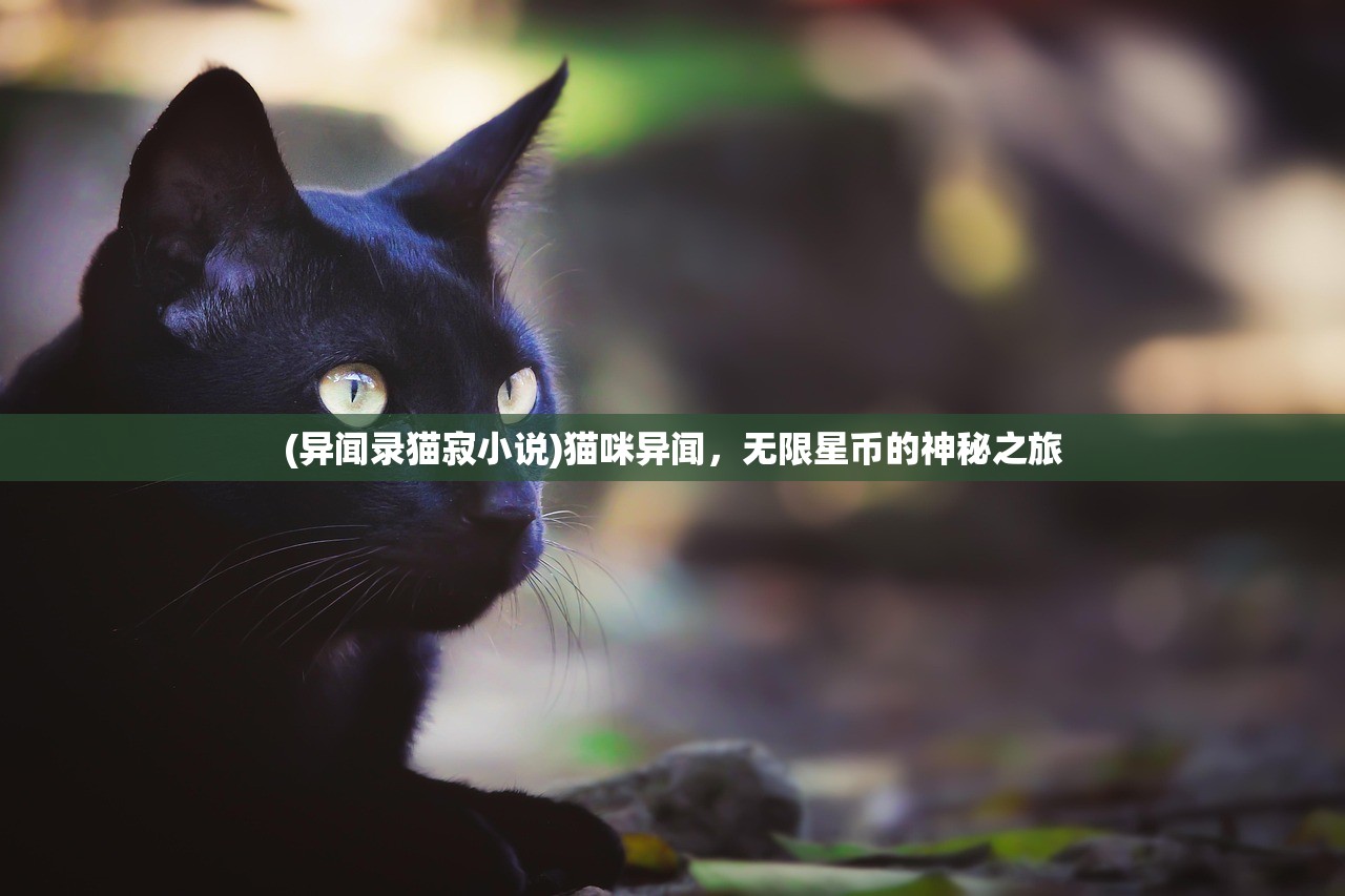 (异闻录猫寂小说)猫咪异闻，无限星币的神秘之旅