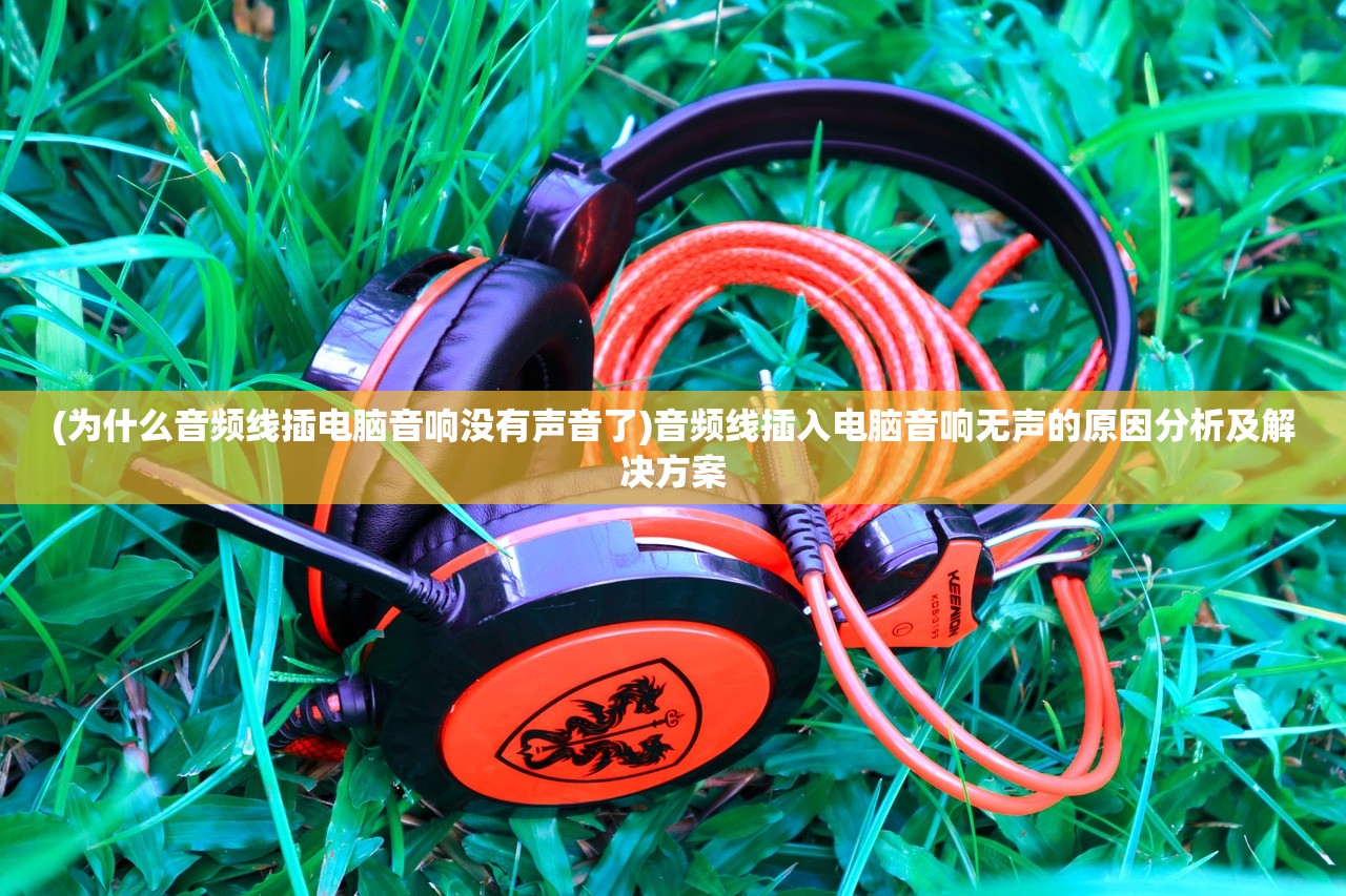 (为什么音频线插电脑音响没有声音了)音频线插入电脑音响无声的原因分析及解决方案