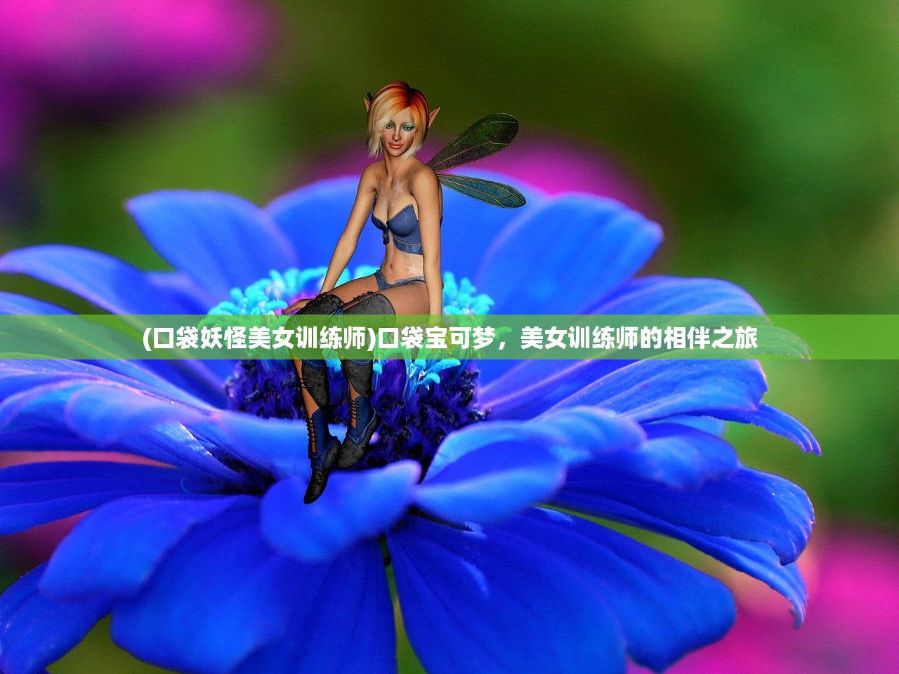 (口袋妖怪美女训练师)口袋宝可梦，美女训练师的相伴之旅