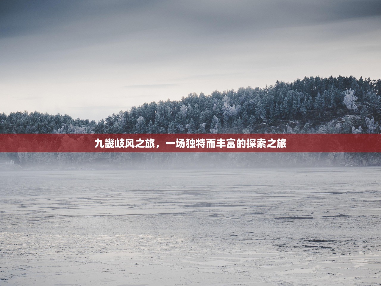 九畿岐风之旅，一场独特而丰富的探索之旅
