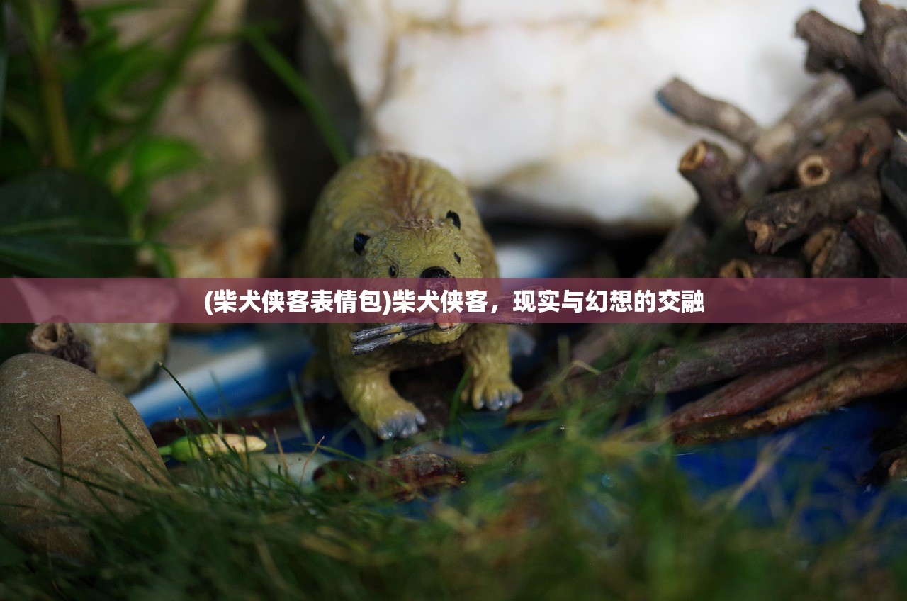 (柴犬侠客表情包)柴犬侠客，现实与幻想的交融