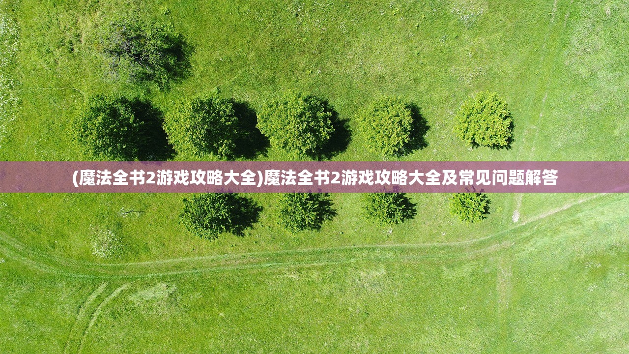 (魔法全书2游戏攻略大全)魔法全书2游戏攻略大全及常见问题解答
