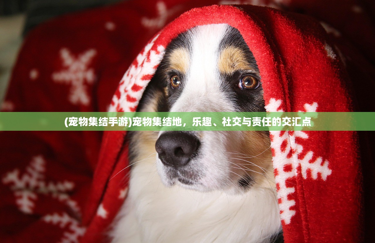 (宠物集结手游)宠物集结地，乐趣、社交与责任的交汇点