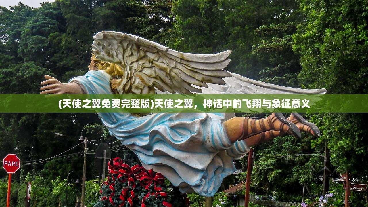 (天使之翼免费完整版)天使之翼，神话中的飞翔与象征意义
