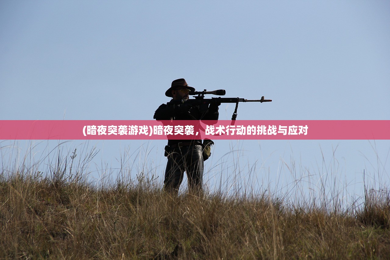 (暗夜突袭游戏)暗夜突袭，战术行动的挑战与应对