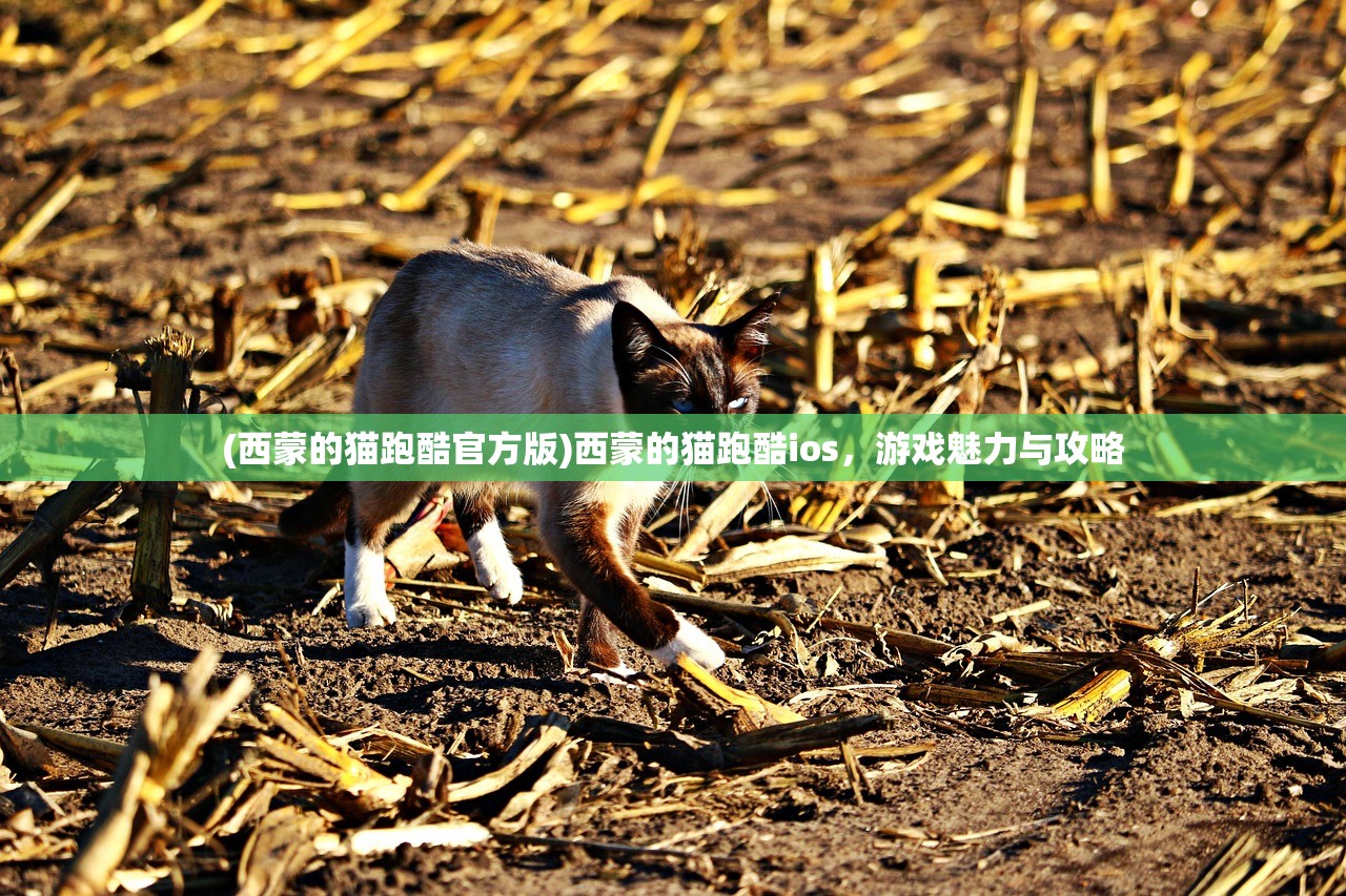 (西蒙的猫跑酷官方版)西蒙的猫跑酷ios，游戏魅力与攻略