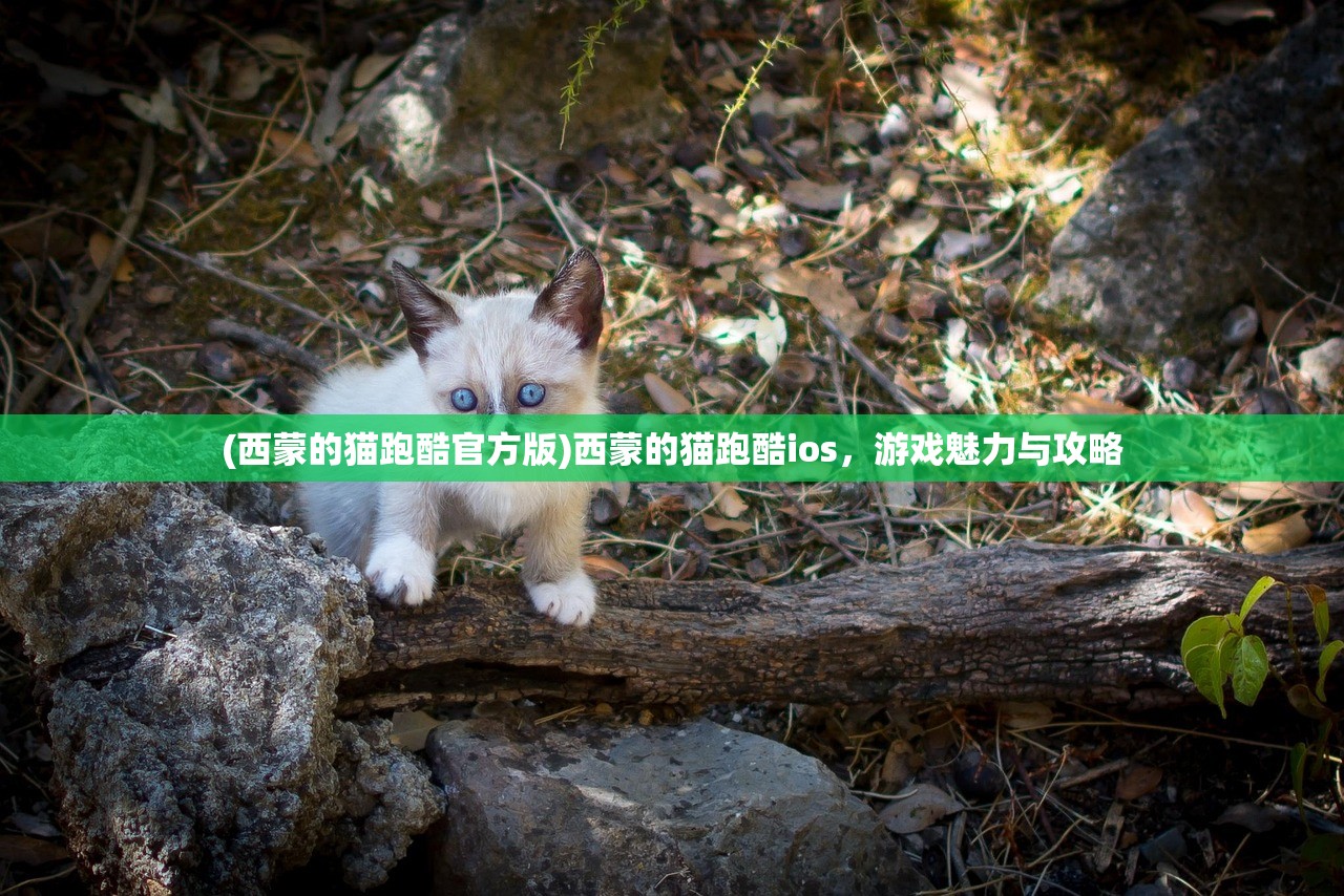 (西蒙的猫跑酷官方版)西蒙的猫跑酷ios，游戏魅力与攻略