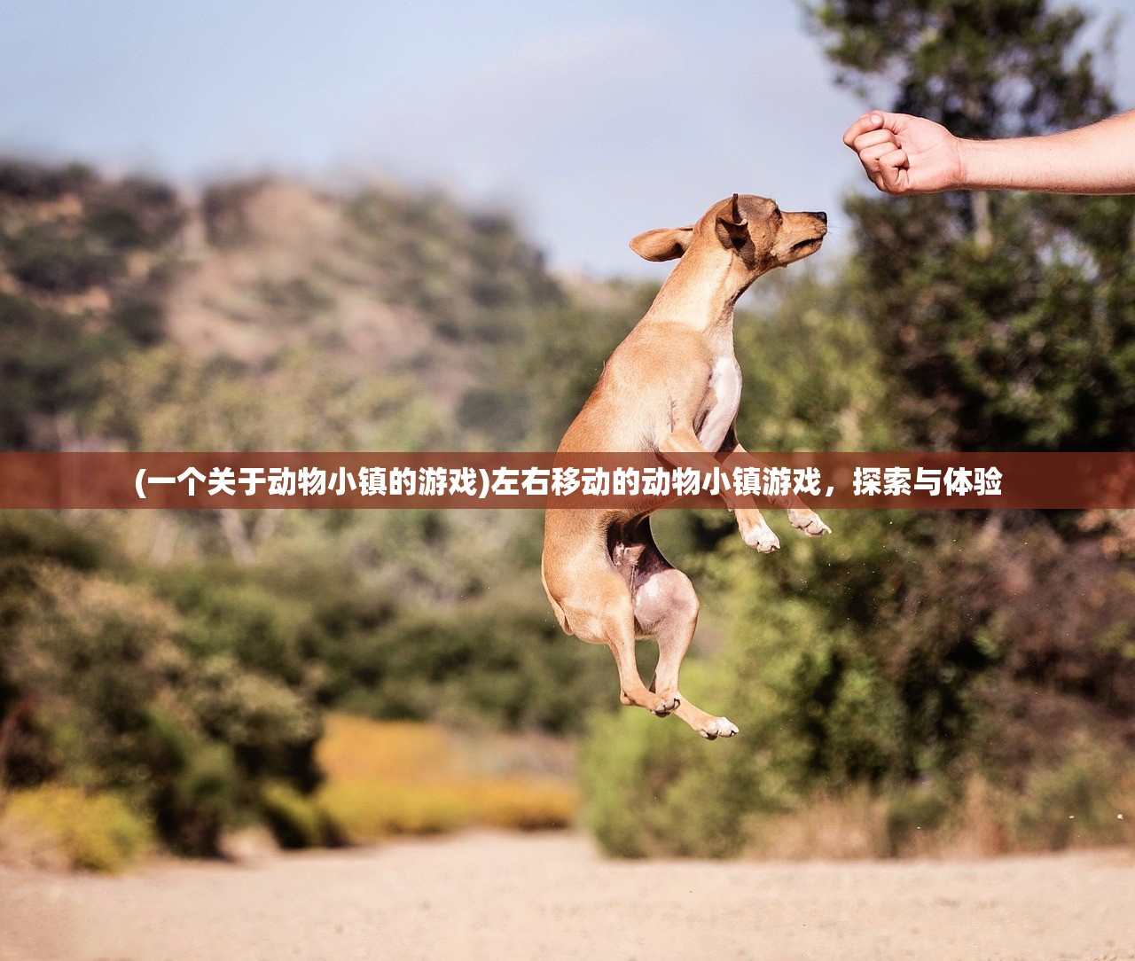 (一个关于动物小镇的游戏)左右移动的动物小镇游戏，探索与体验