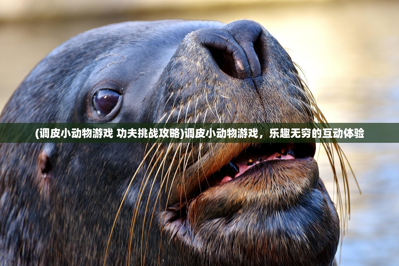(调皮小动物游戏 功夫挑战攻略)调皮小动物游戏，乐趣无穷的互动体验
