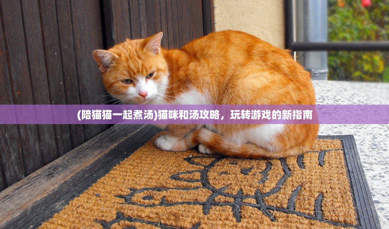 (陪猫猫一起煮汤)猫咪和汤攻略，玩转游戏的新指南