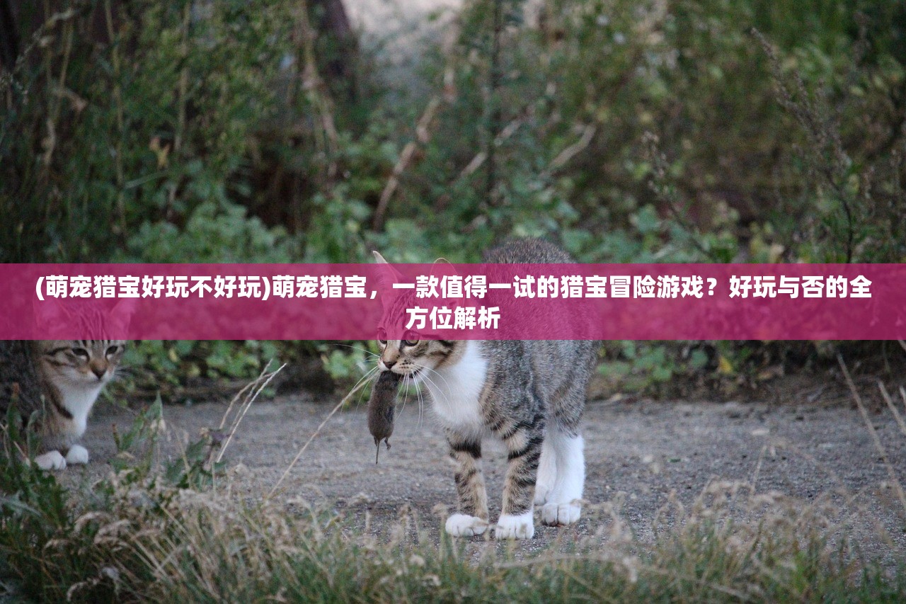 (萌宠猎宝好玩不好玩)萌宠猎宝，一款值得一试的猎宝冒险游戏？好玩与否的全方位解析