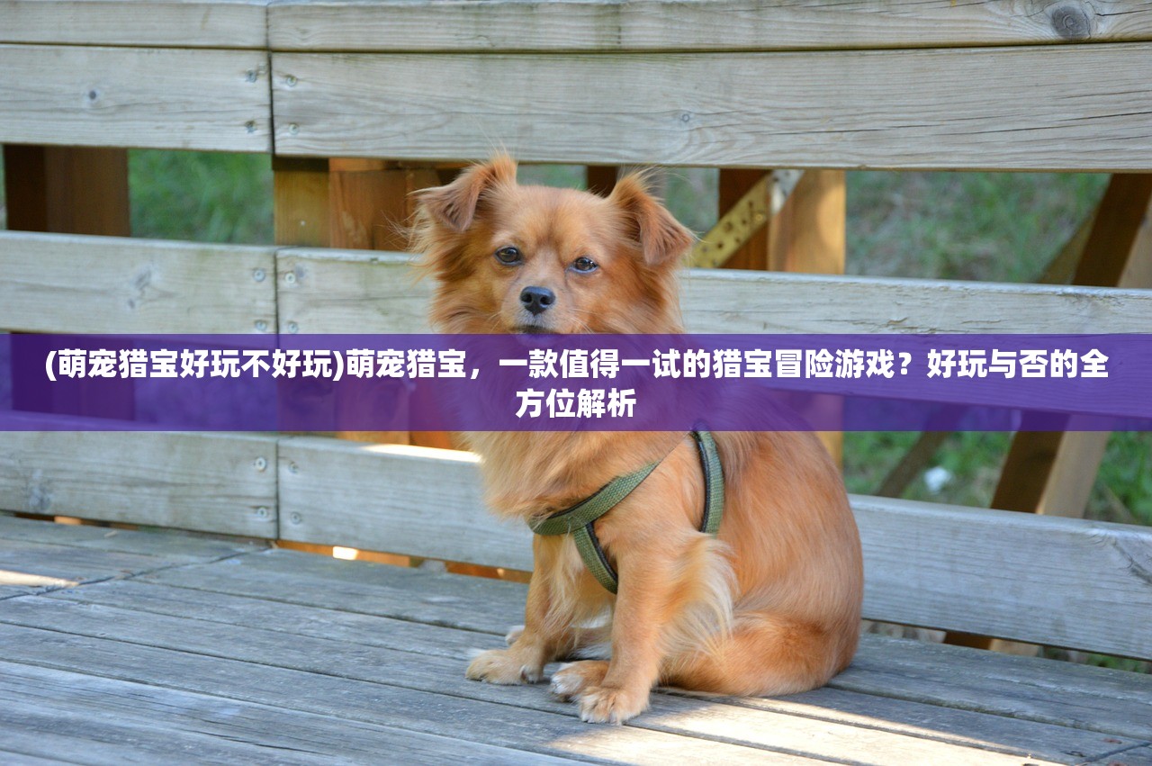 (萌宠猎宝好玩不好玩)萌宠猎宝，一款值得一试的猎宝冒险游戏？好玩与否的全方位解析