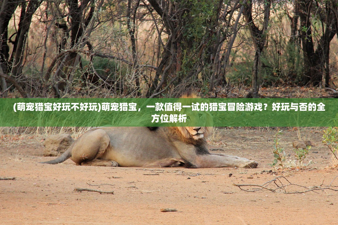 (萌宠猎宝好玩不好玩)萌宠猎宝，一款值得一试的猎宝冒险游戏？好玩与否的全方位解析