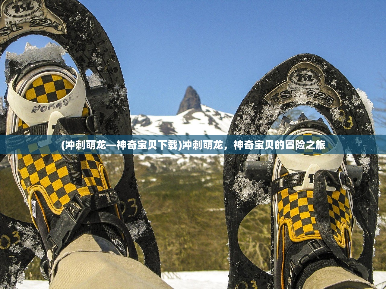 (冲刺萌龙—神奇宝贝下载)冲刺萌龙，神奇宝贝的冒险之旅