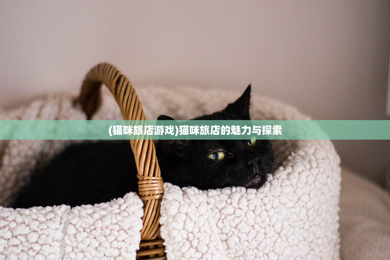 (猫咪旅店游戏)猫咪旅店的魅力与探索