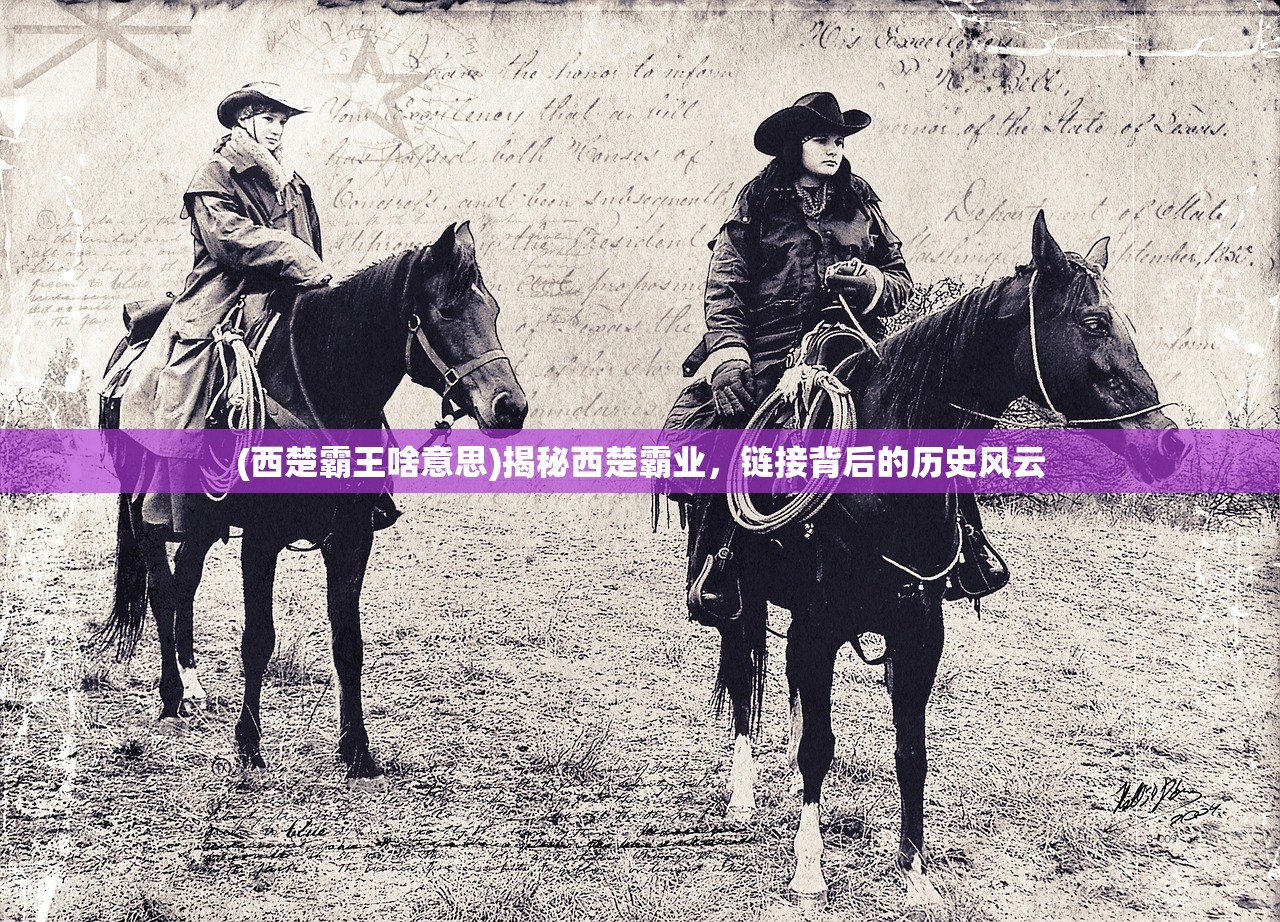 (西楚霸王啥意思)揭秘西楚霸业，链接背后的历史风云
