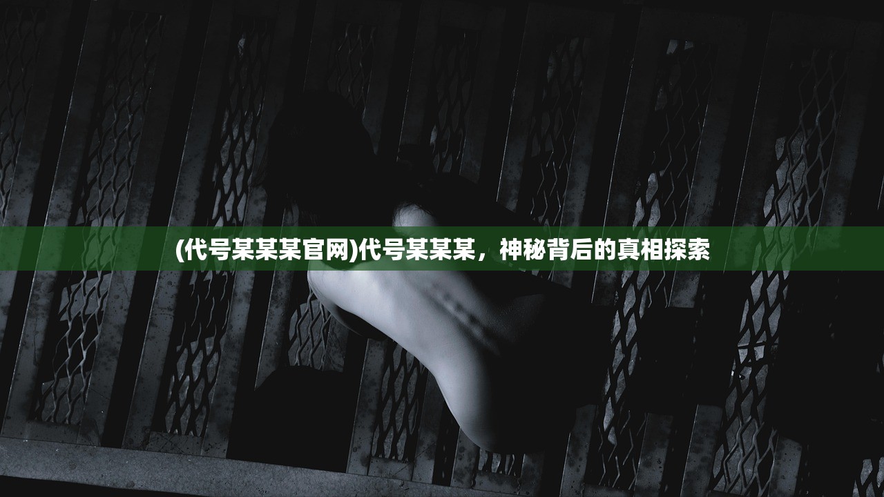(代号某某某官网)代号某某某，神秘背后的真相探索
