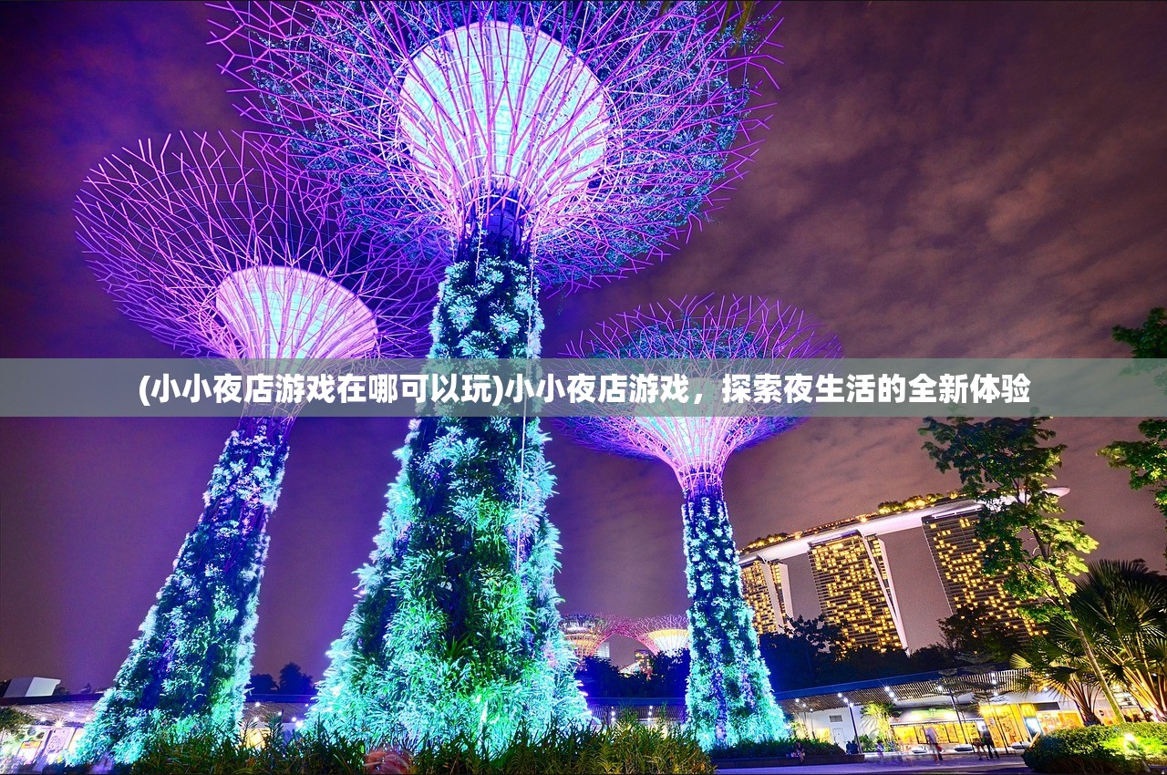 (小小夜店游戏在哪可以玩)小小夜店游戏，探索夜生活的全新体验