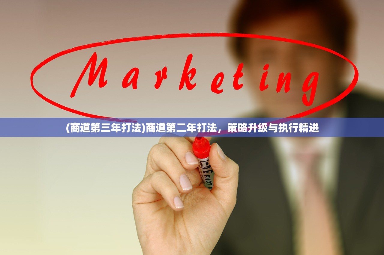 (商道第三年打法)商道第二年打法，策略升级与执行精进