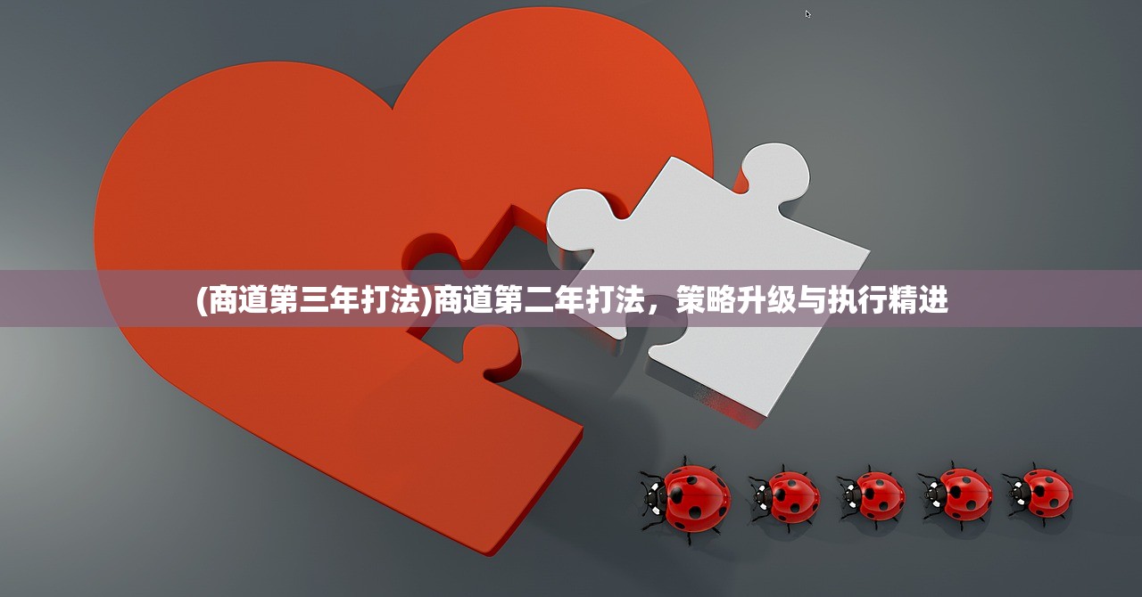 (商道第三年打法)商道第二年打法，策略升级与执行精进
