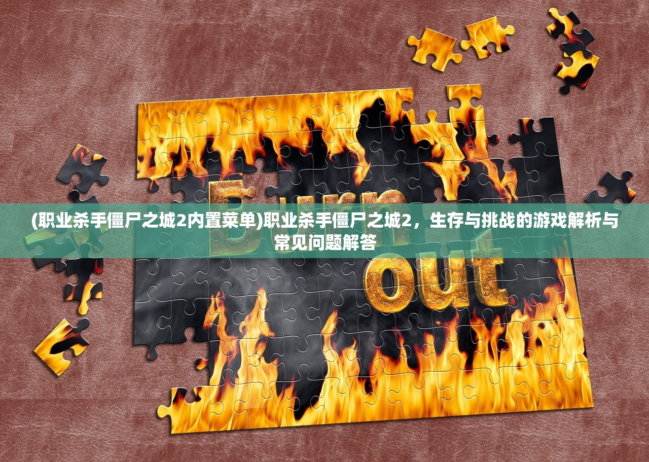 (职业杀手僵尸之城2内置菜单)职业杀手僵尸之城2，生存与挑战的游戏解析与常见问题解答