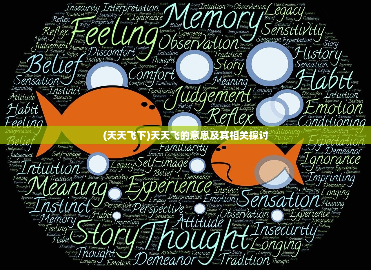 (天天飞下)天天飞的意思及其相关探讨
