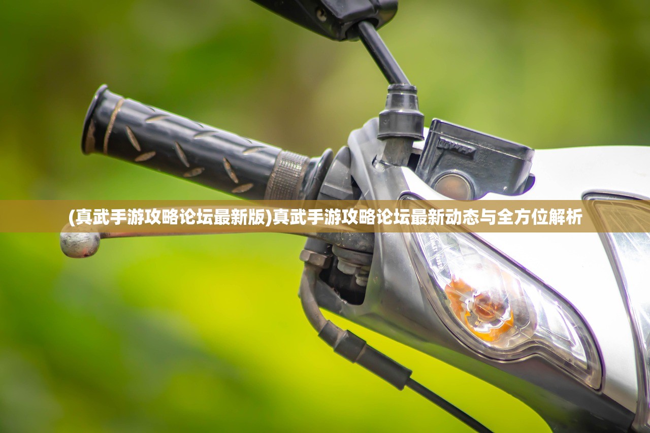 (真武手游攻略论坛最新版)真武手游攻略论坛最新动态与全方位解析