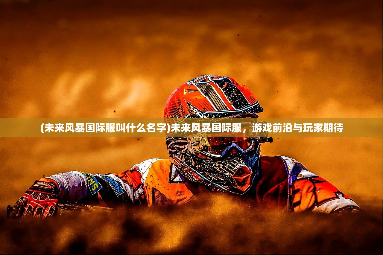 (未来风暴国际服叫什么名字)未来风暴国际服，游戏前沿与玩家期待