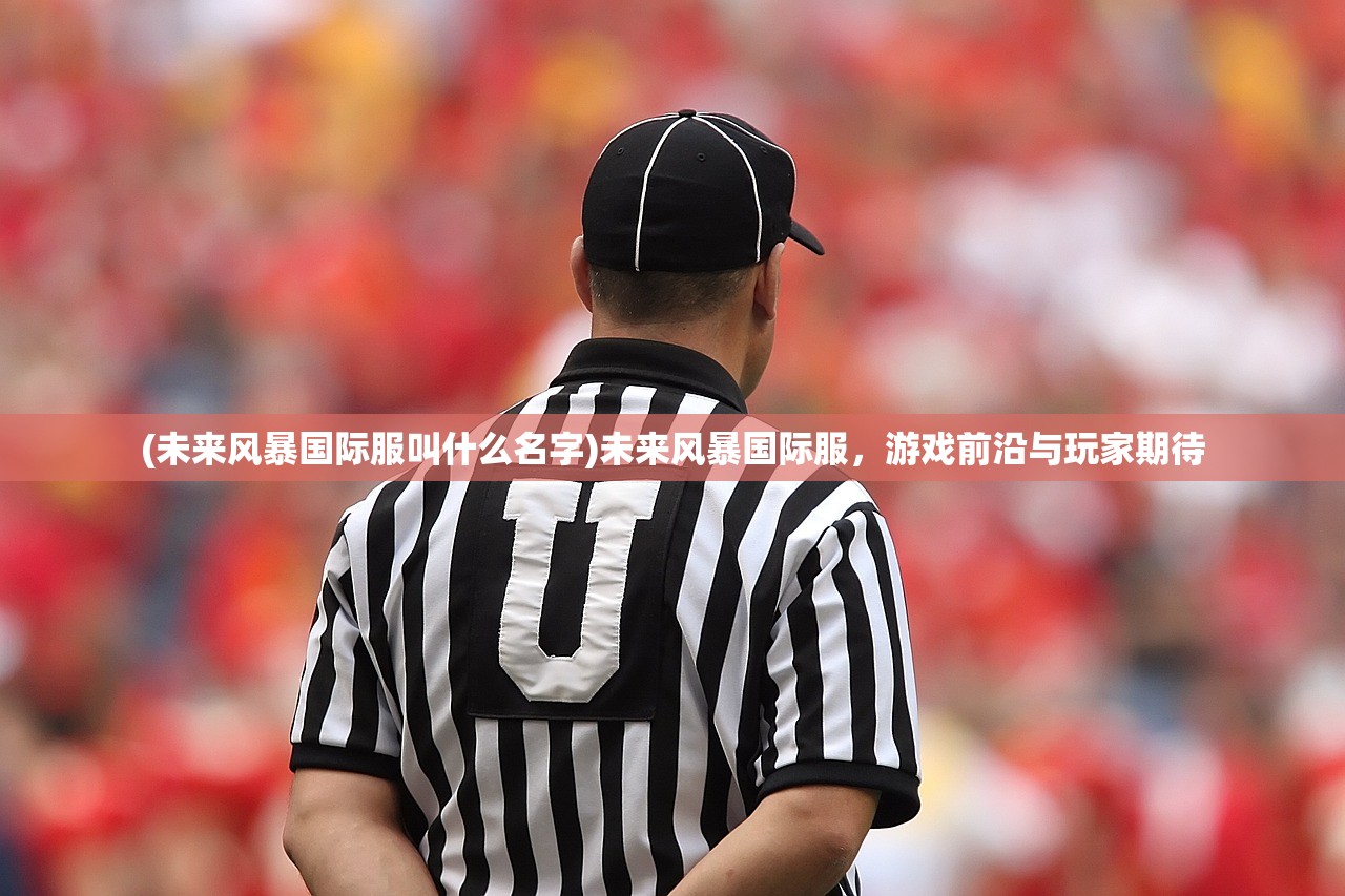 (未来风暴国际服叫什么名字)未来风暴国际服，游戏前沿与玩家期待