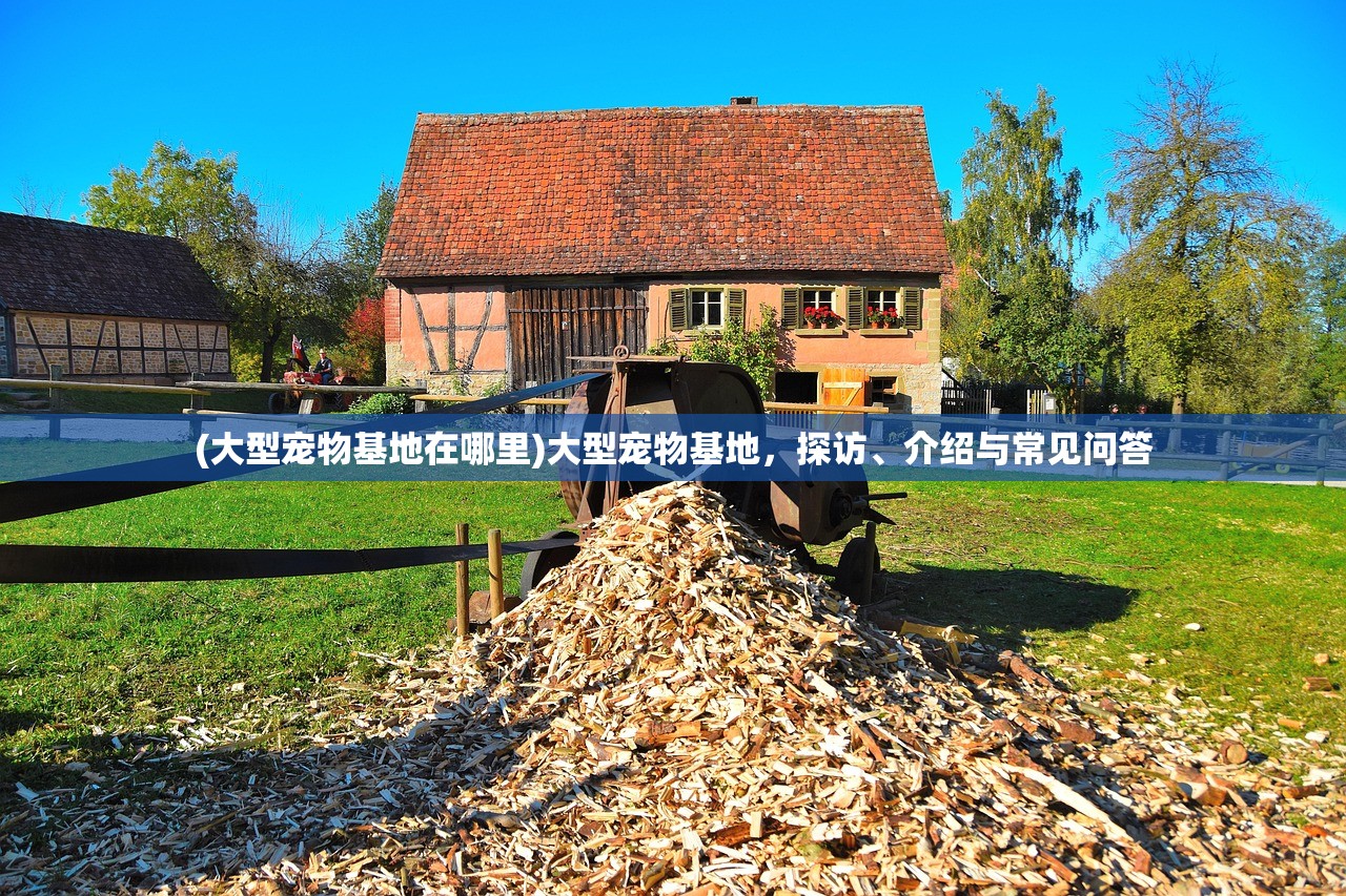 (大型宠物基地在哪里)大型宠物基地，探访、介绍与常见问答